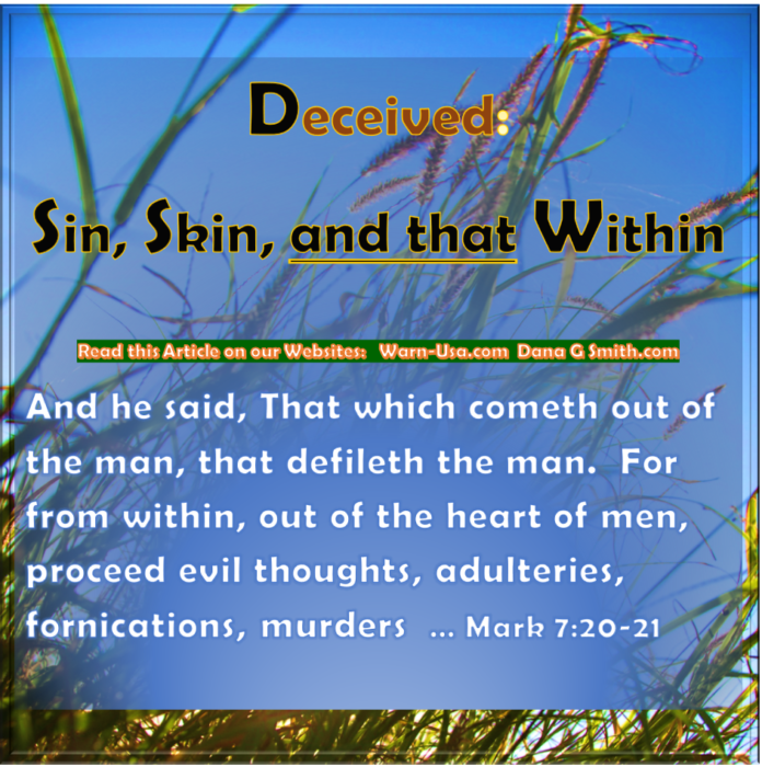 DECEIVED: SIN, SKIN, AND THAT WITHIN article image