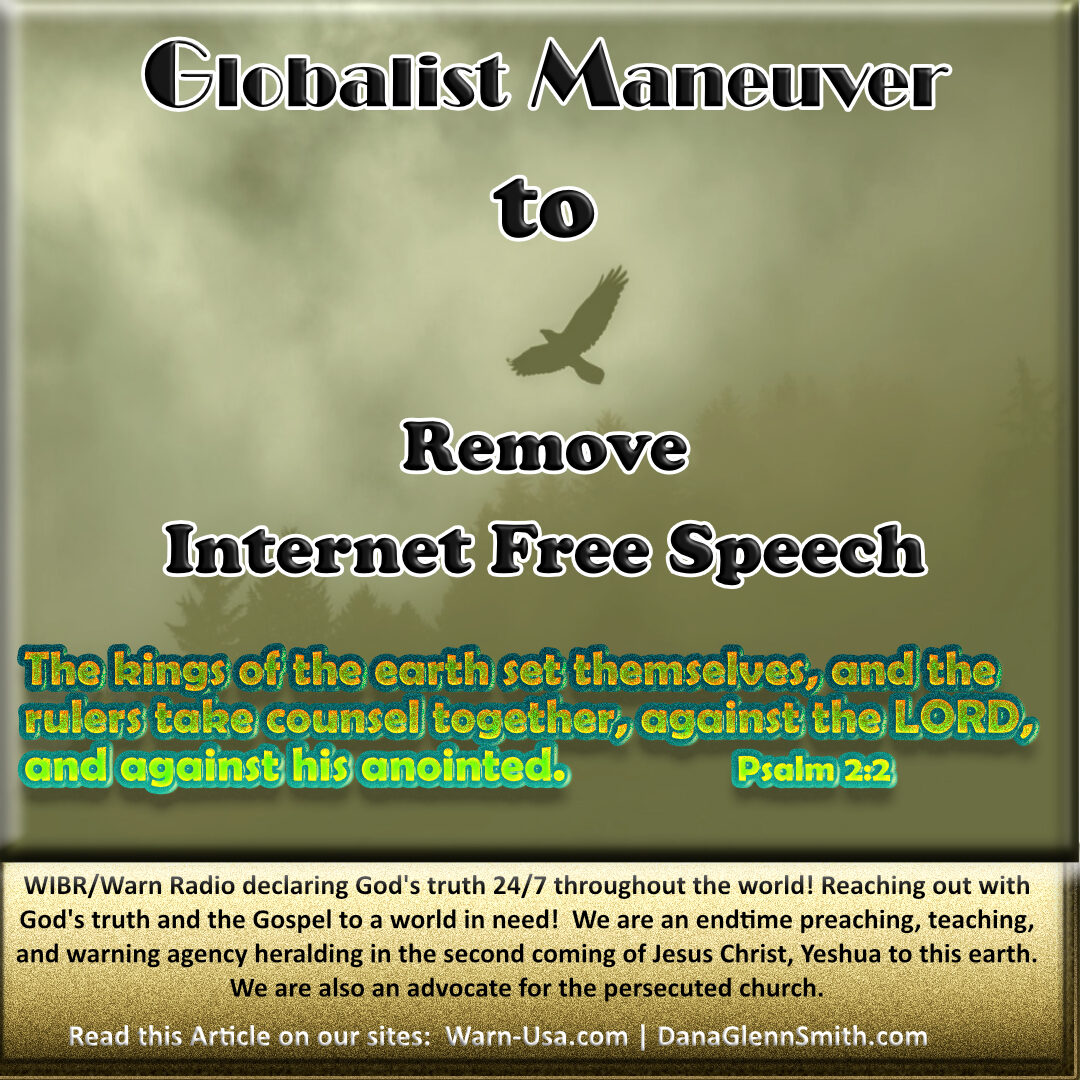 Globalist Maneuver to Remove Internet Free Speech Article image