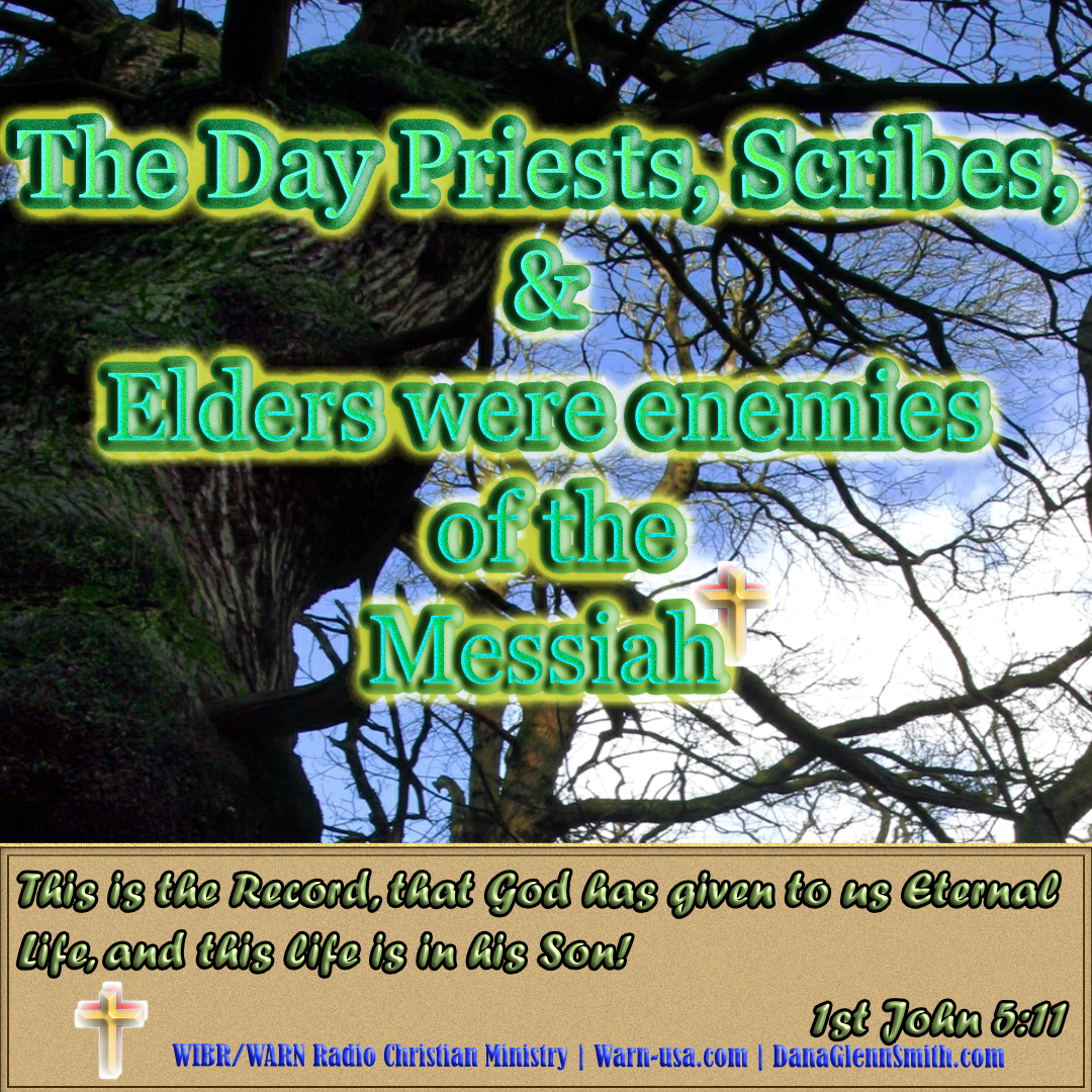 The Day Priests, Scribes, and Elders were Enemies of the Messiah article image