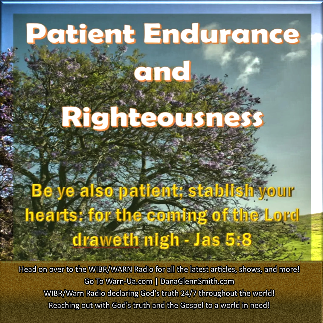 Patient Endurance and Righteousness article image