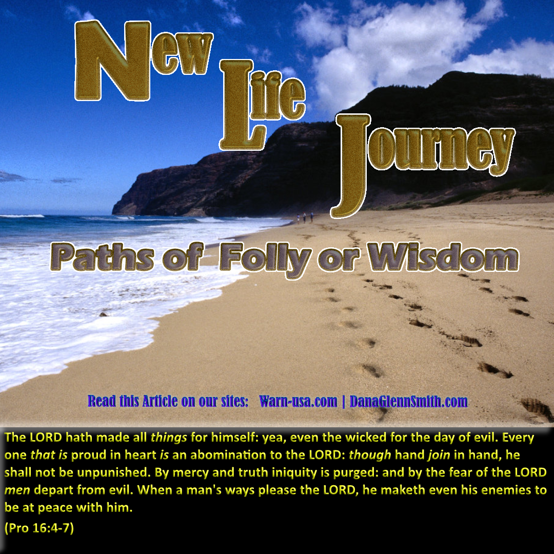 Life Journey Paths Folly or Wisdom article image