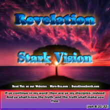 Revelation Stark Vision article image